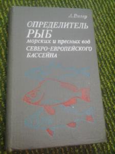 Определитель рыбы по фото онлайн бесплатно